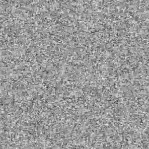 Meet your Posher, Evan